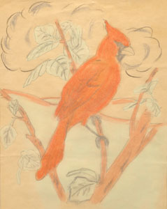 1962 Original Art of a Cardinal by wildlife artist Danny O'Driscoll