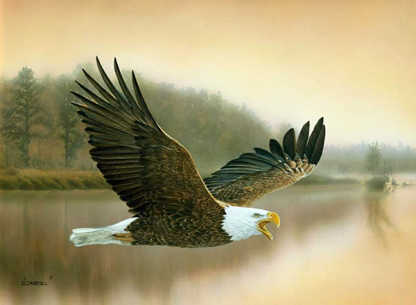 Dawns Early Light an acrylic painting by wildlife artist Danny O'Driscoll