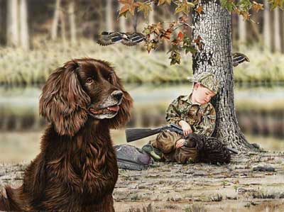 "Tuckered Out" - Boykin Spaniel Print by Wildlife Artist Danny O'Driscoll