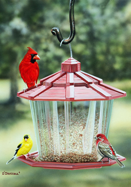 At the Feeder an acrylic painting by wildlife artist Danny O'Driscoll