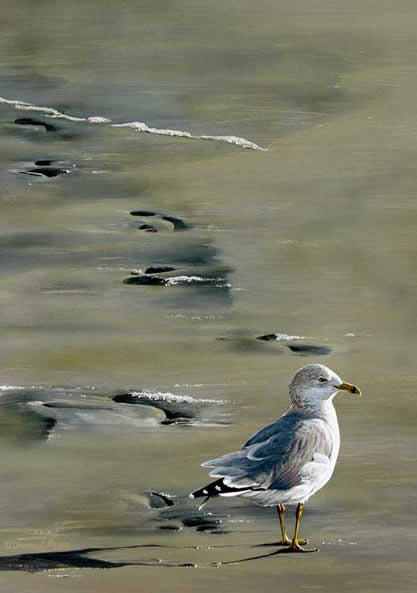 Footprints an acrylic painting by wildlife artist Danny O'Driscoll
