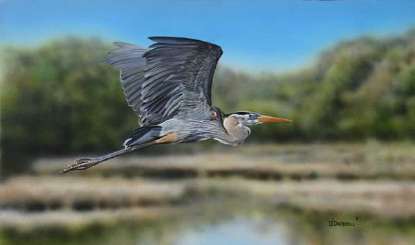 Peaceful Morn an acrylic painting by wildlife artist Danny O'Driscoll