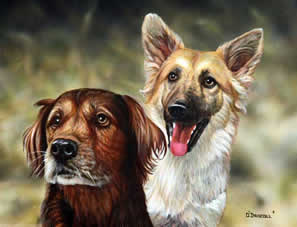Southern Dogs an acrylic painting by wildlife artist Danny O'Driscoll