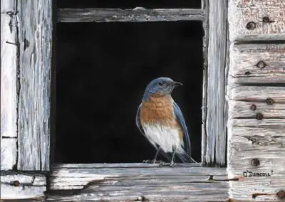 "Barnyard Bluebird"