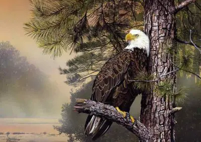 Morning Sentinel