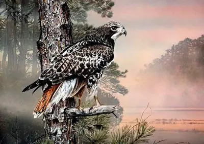 Morning Watch