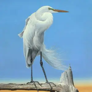 Windy Day Egret