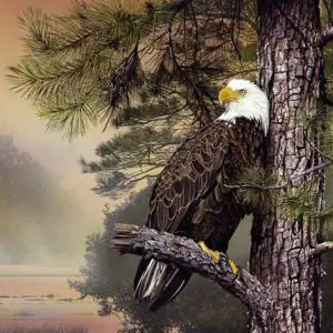 Morning Sentinel