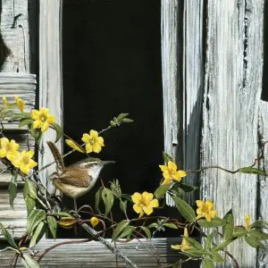 Carolina Wren and Yellow Jessamine